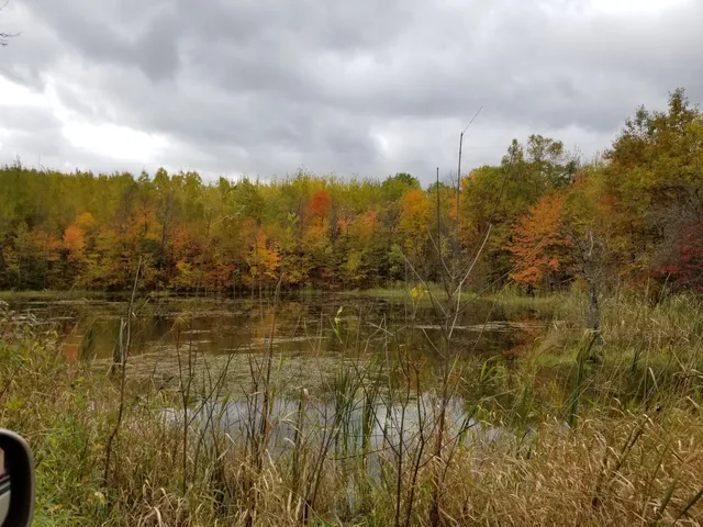 Smoky Hills State Forest