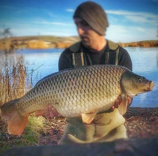 Swanborough Fishing Lake