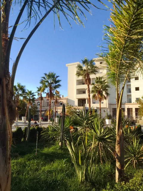 ساحة التضامن