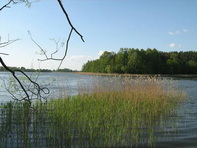 Jezioro Wierzbińskie