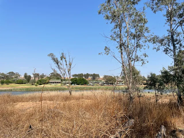 Modderfontein Reserve