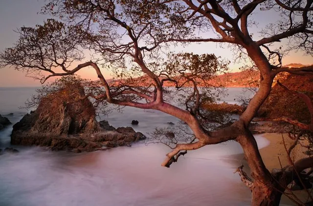 Playa De Los Muertos