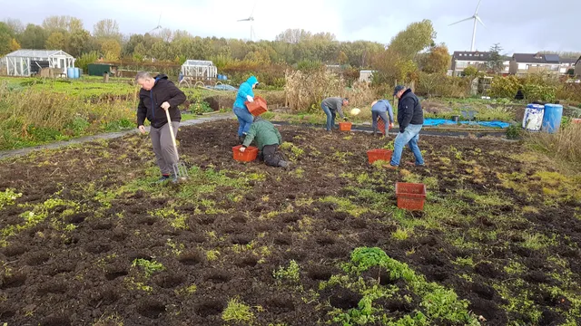 Volkstuinvereniging Heenvliet