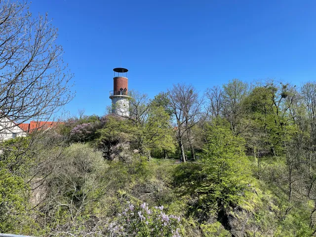 Aussichtsturm Hoher Stein