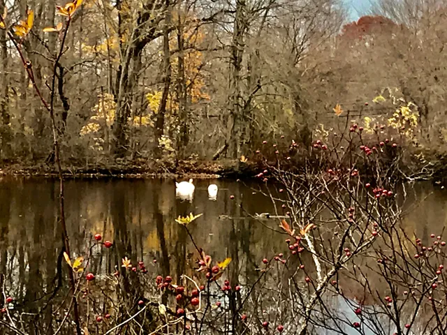 Betty Allen Twin Ponds Nature Park