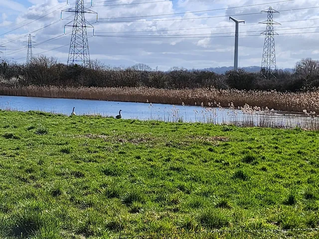 Portbury Wharf Nature Reserve