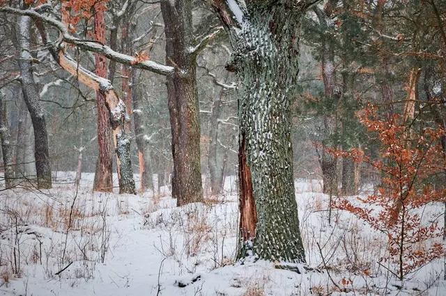 public park Wuhlheide