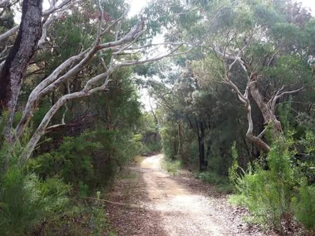 Bush Trails Excursion Tours Ltd