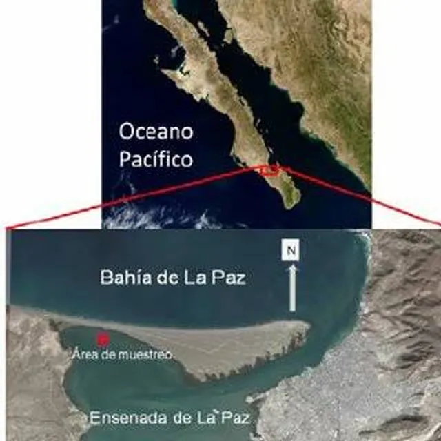 Ensenada de La Paz
