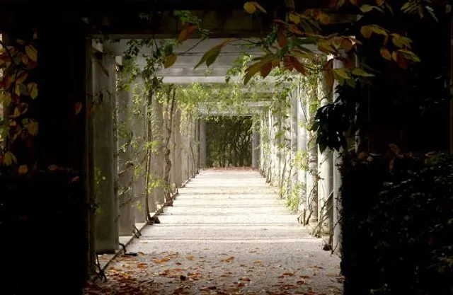 The Anne Spencer House & Garden Museum