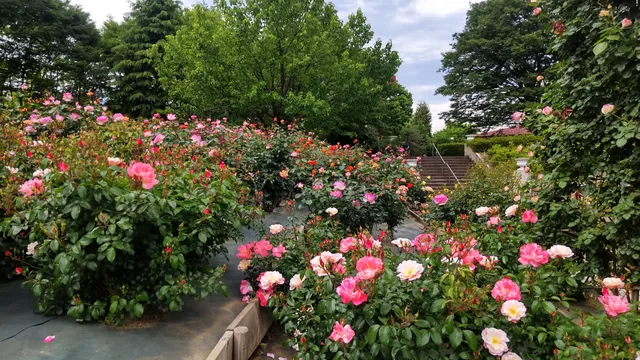 Urban Greening Botanical Garden