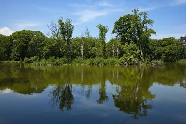 Akademiepark