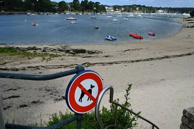 Plage du Coq
