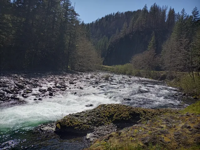 Molalla River Recreation Area campground