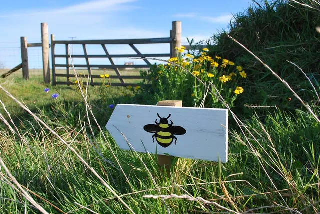 Dr Beynon's Bug Farm