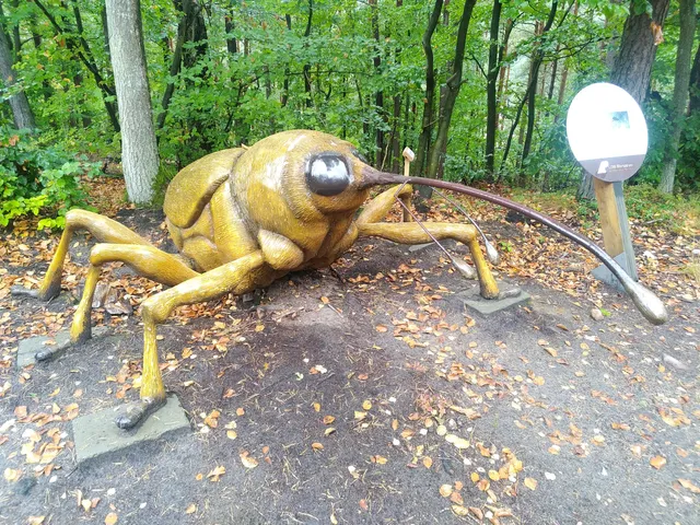 Szlak Alicji w Zaczarowanym Lesie