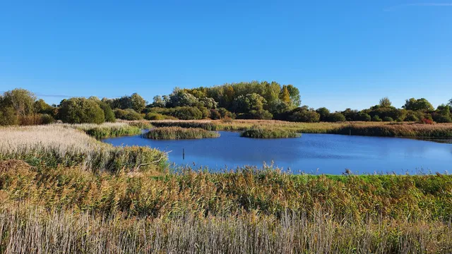 RSPB Fowlmere