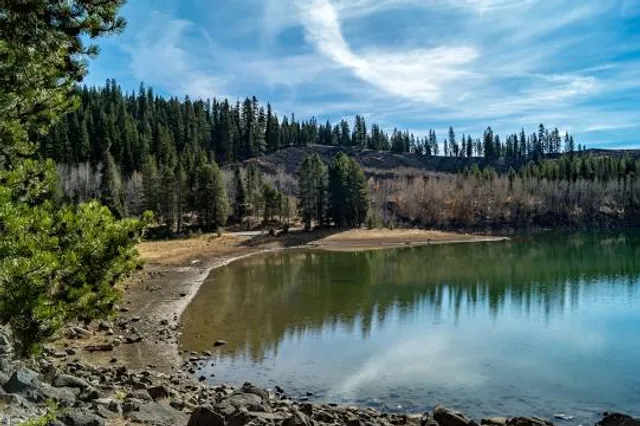 Lassen National Forest