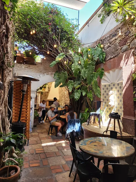 Lavanda Café de Especialidad