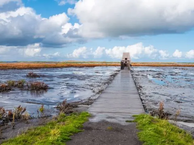Naturerlebnispfad Langwarder Groden