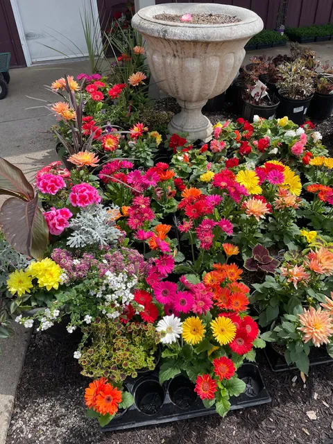 Rama's Greenhouse & Gardens