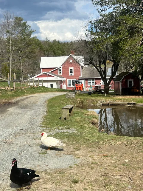 Land of Milk and Honey Farms, LLC