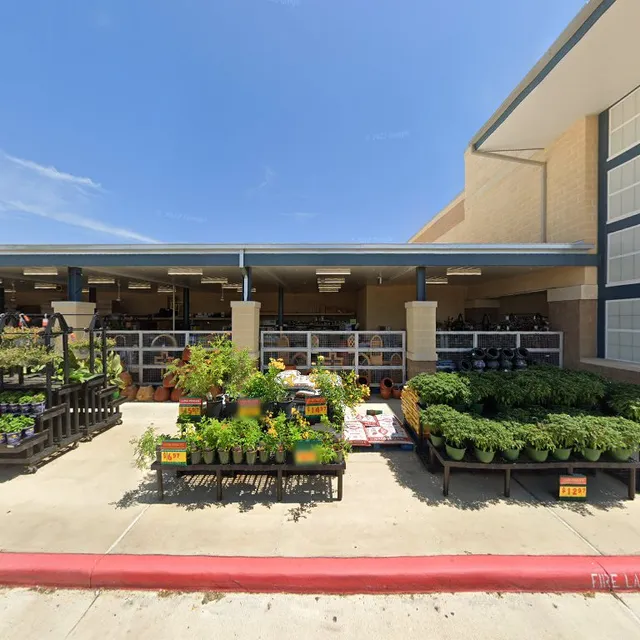 Taste Of The Tropics