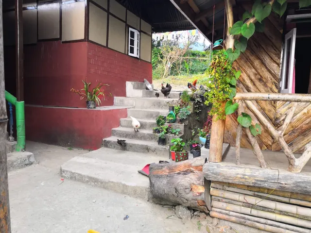 Saakjar Lee Homestay