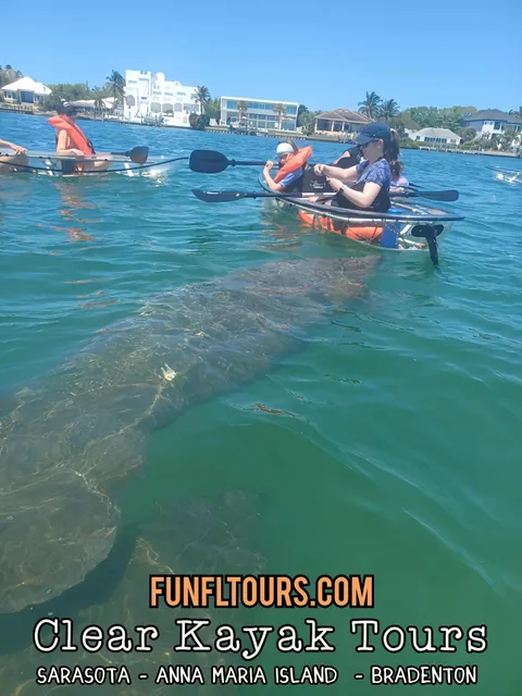 Clear Kayak Tours Sarasota