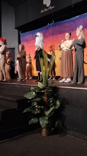 Old Town Players Inc