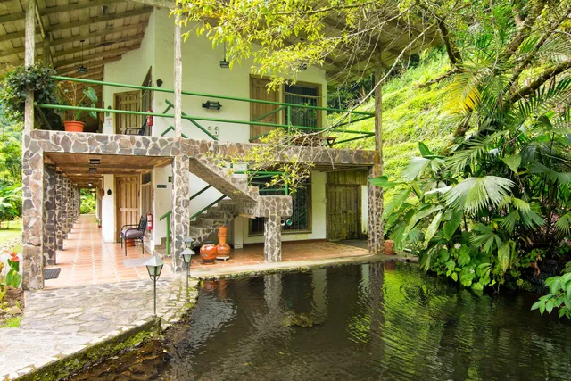 Bosque de Paz Reserva Biologica