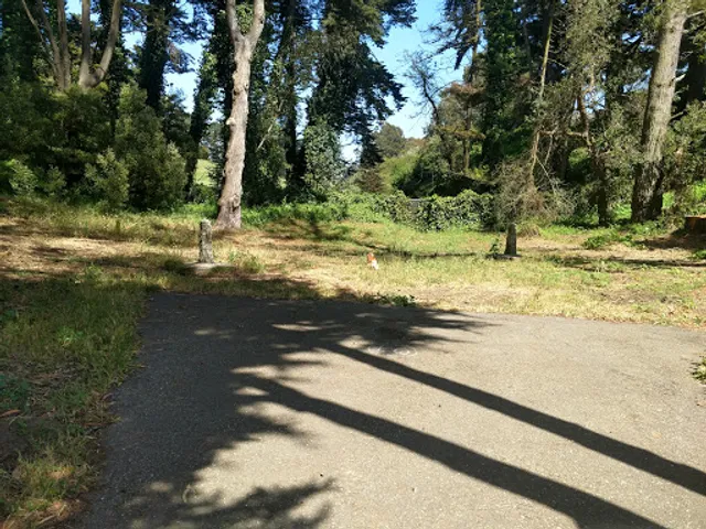 Broderick Terry Duel Landmark Park