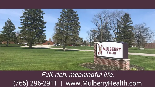 Mulberry Health