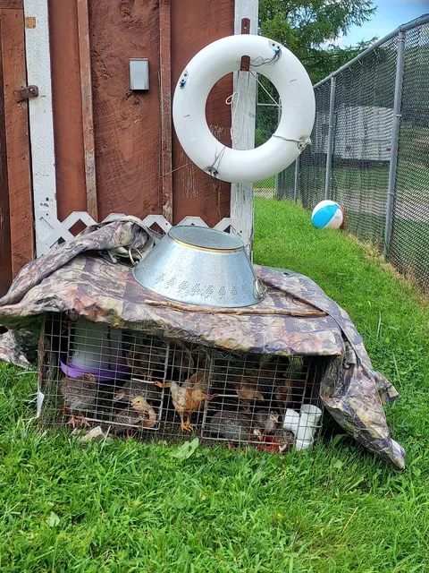 White Birch Campground