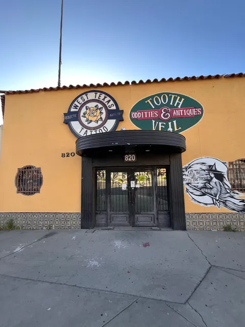 Tooth and Veil Oddities and Macabre Shop