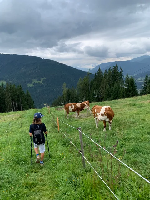 KITIWAPF Waldtiere Themenweg