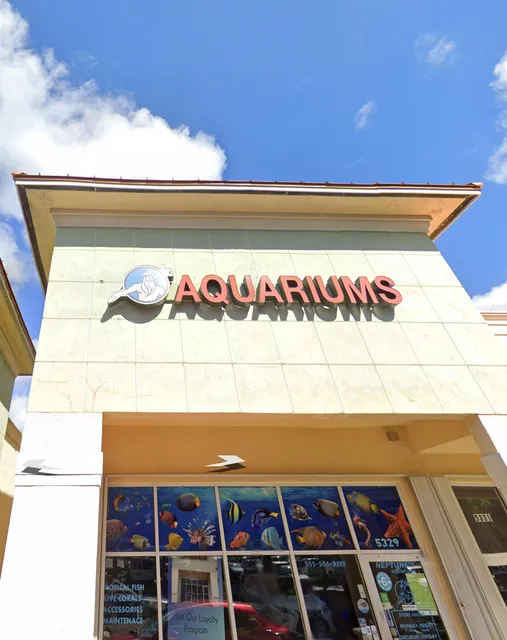Neptunes Aquarium Store