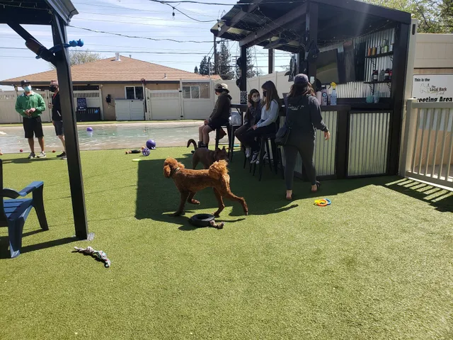 The Local Bark Park