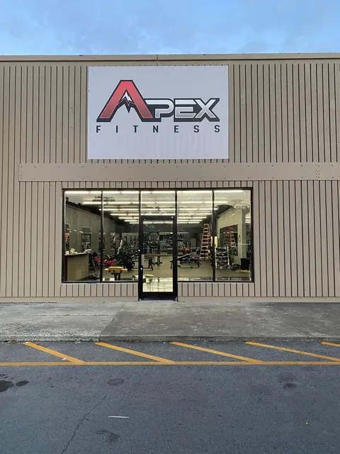 APEX FITNESS