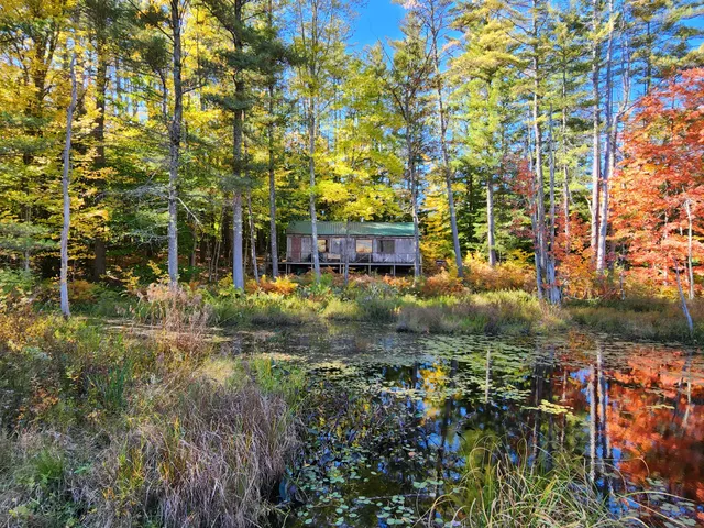 Quincy Bog Natural Area