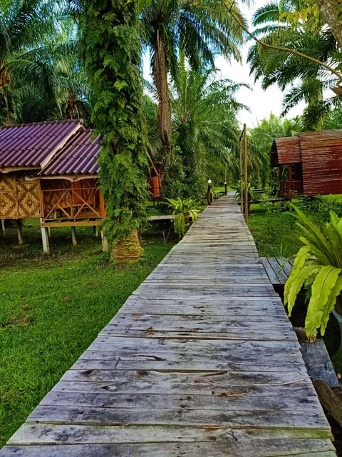 คุ้มคชานันท์ - Koom Kachanaan - Regis Homestay