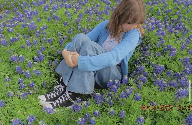 Blue bonnet field