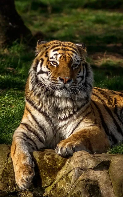 Apartment on Dneprovskiy Boulevard 56