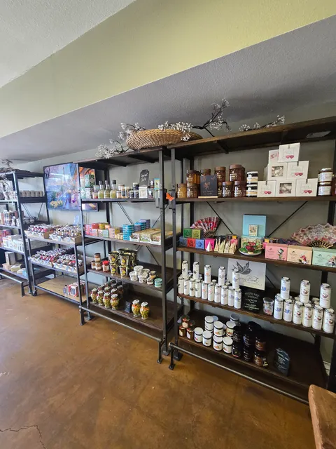 Antica Olive Oil and Balsamic Vinegars