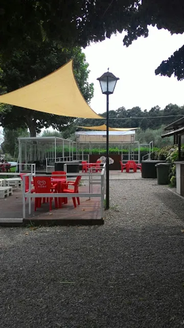 Banana's Summer Club