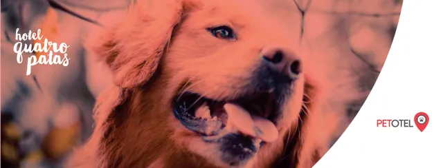 Petotel - Hotel Quatro Patas