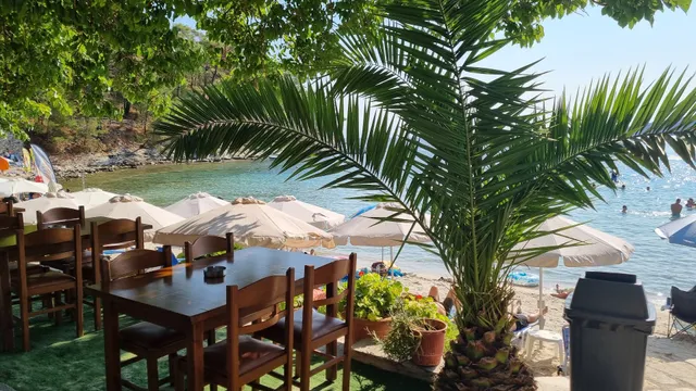 Beautiful Alice All Day Bar