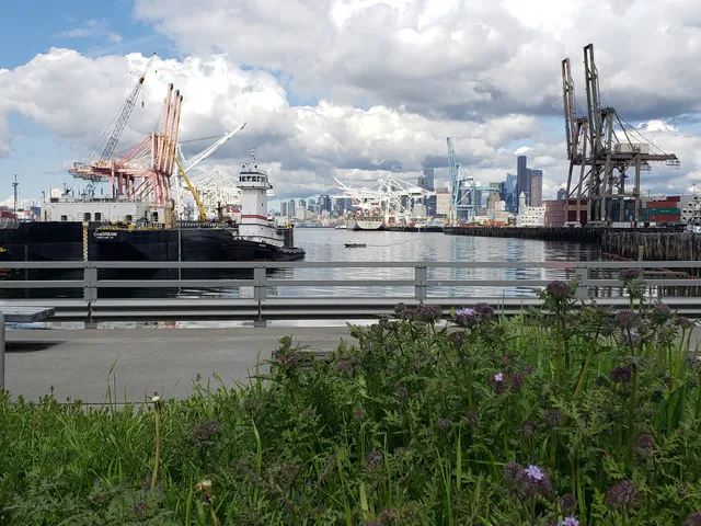 West Seattle Bridge Trail Fishing Dock