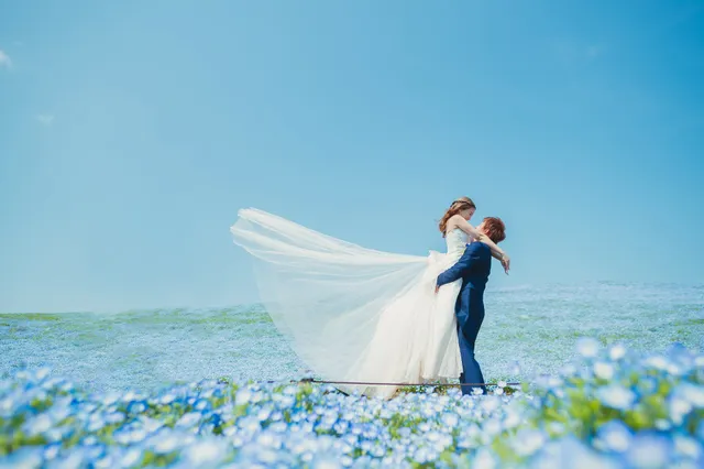 Dress Shop Blanche Hitachinaka