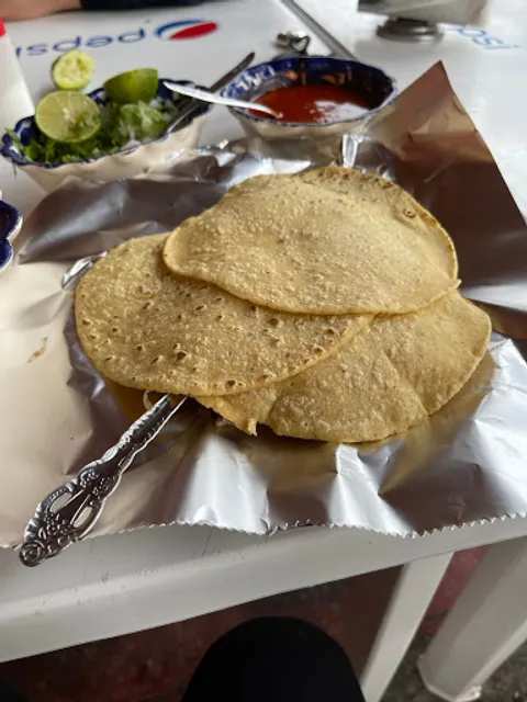El Gran Borrego de Oro